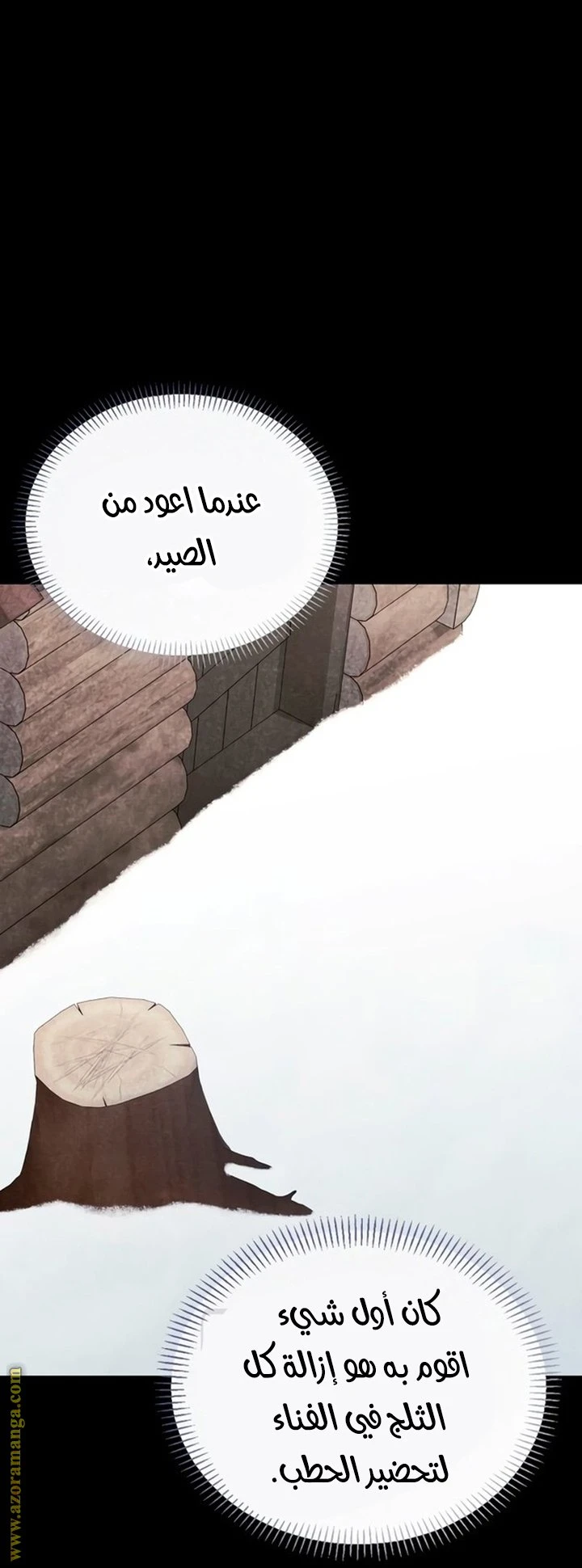 الصفحة 29