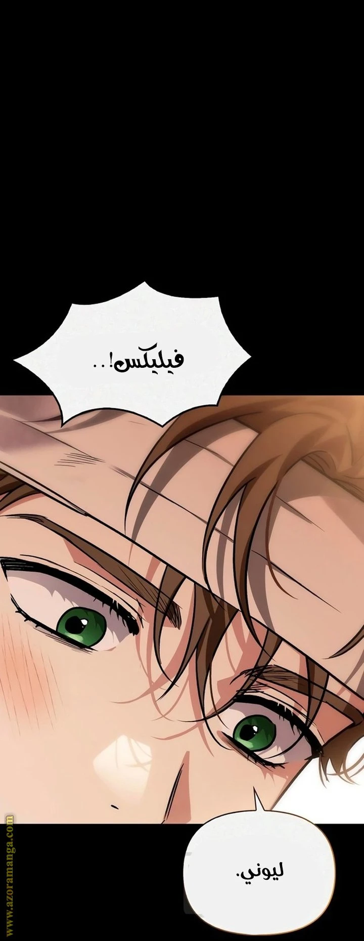 الصفحة 35