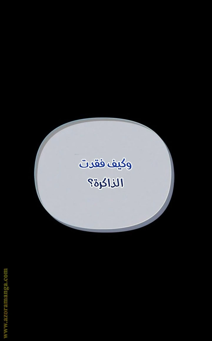 الصفحة 48