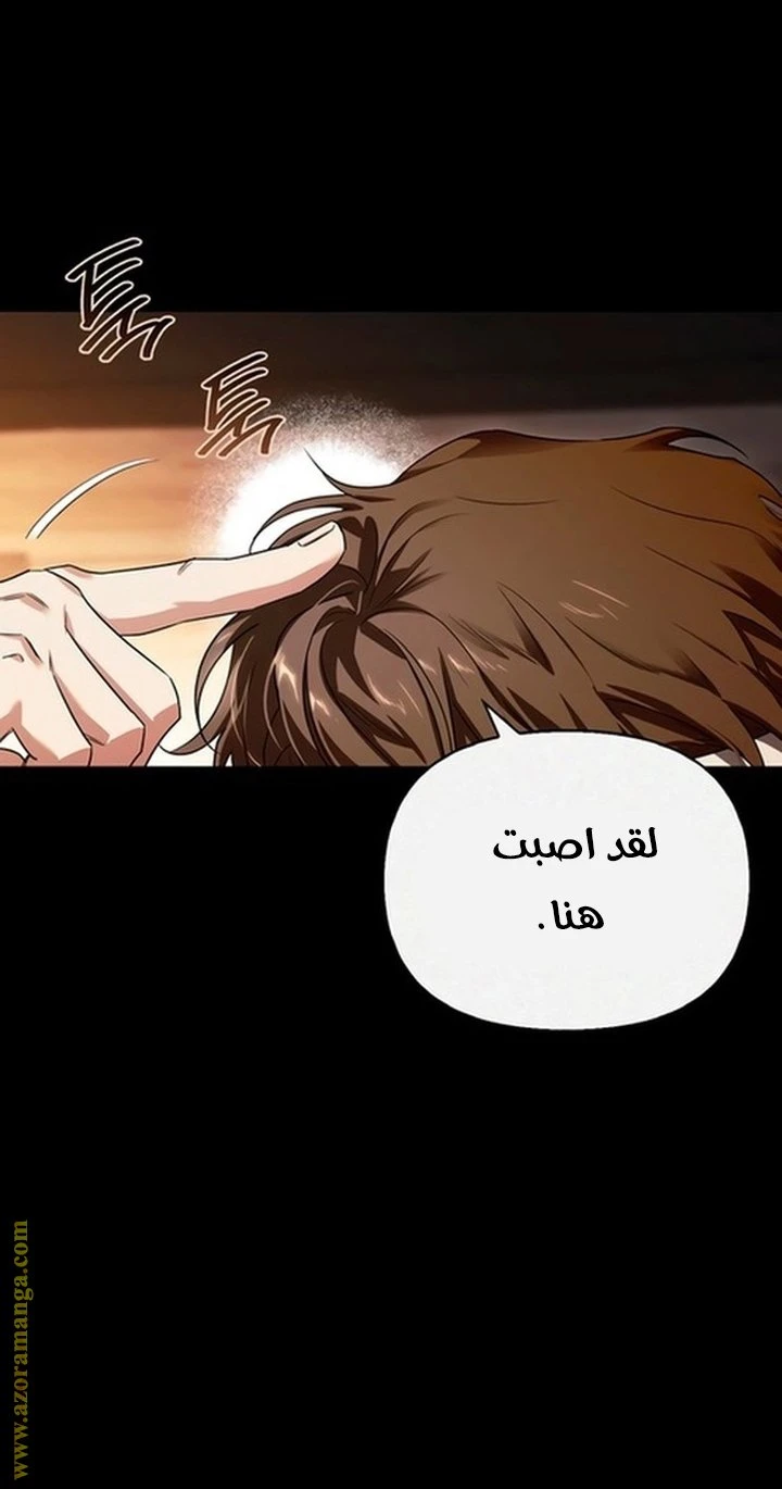 الصفحة 53