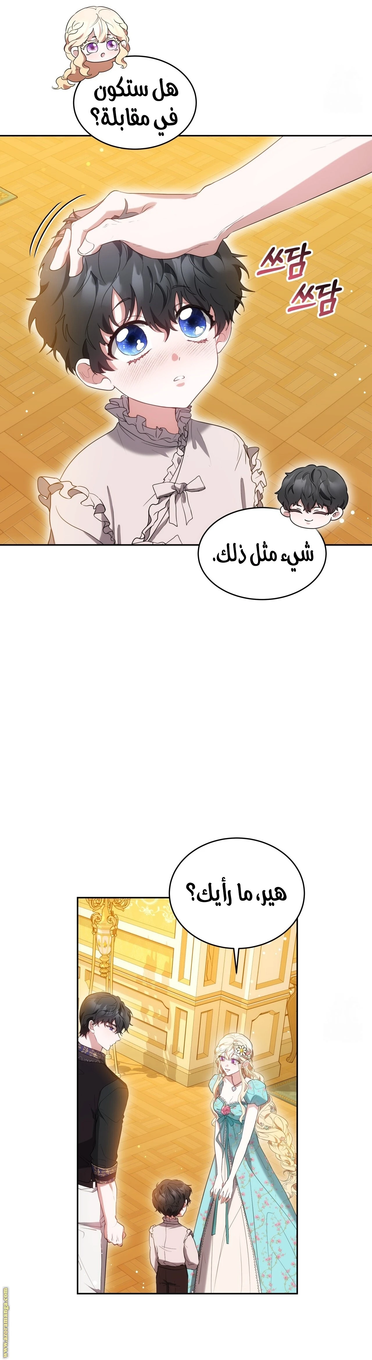 الصفحة 21
