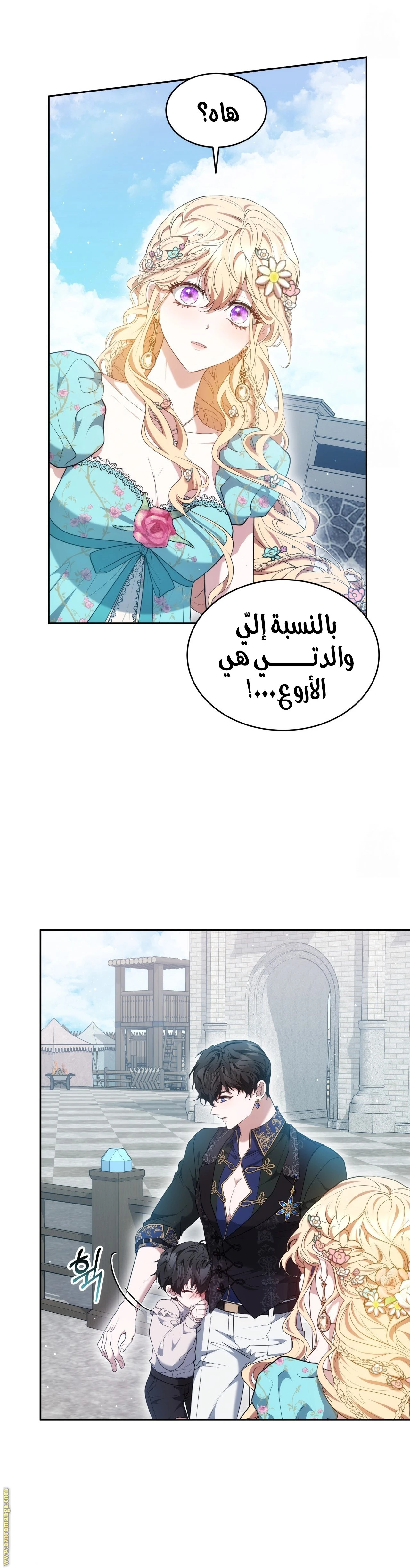 الصفحة 29