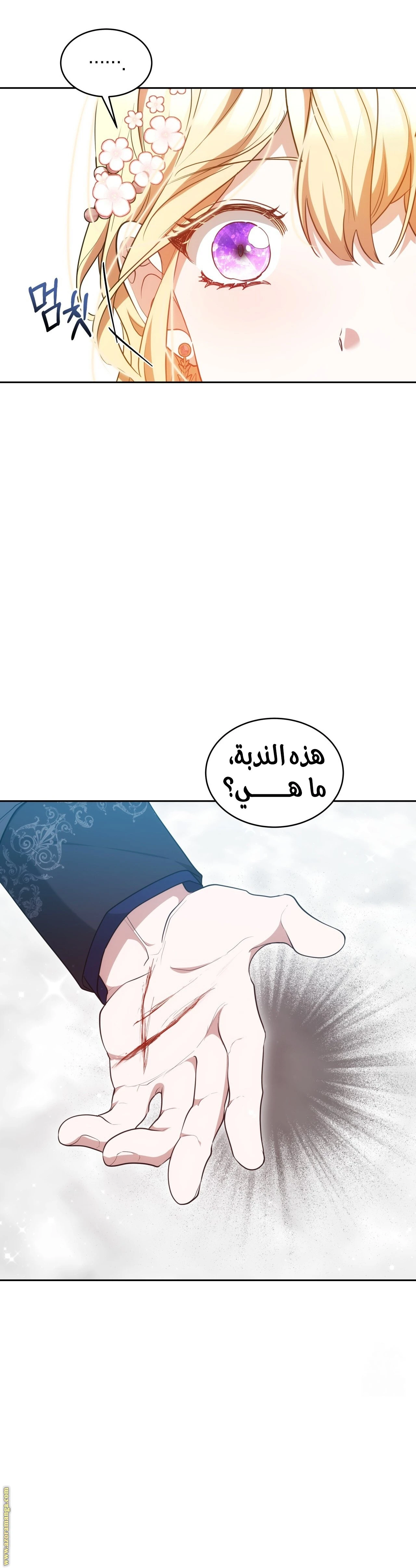 الصفحة 47
