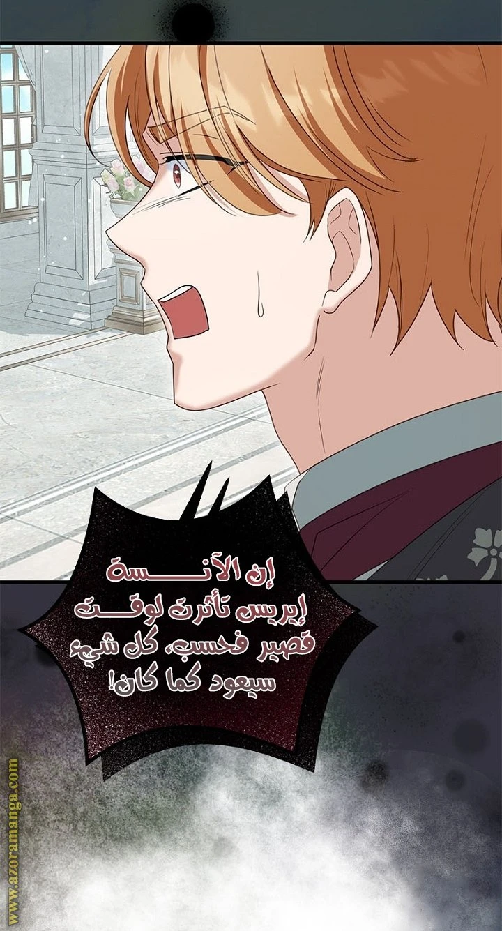 الصفحة 29