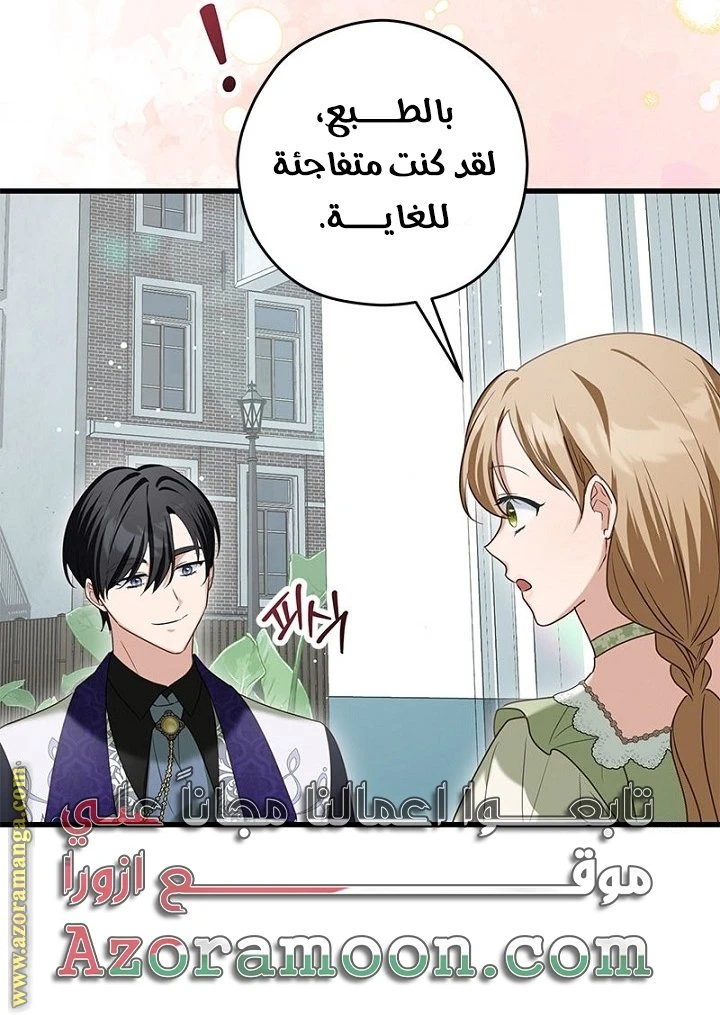 الصفحة 41