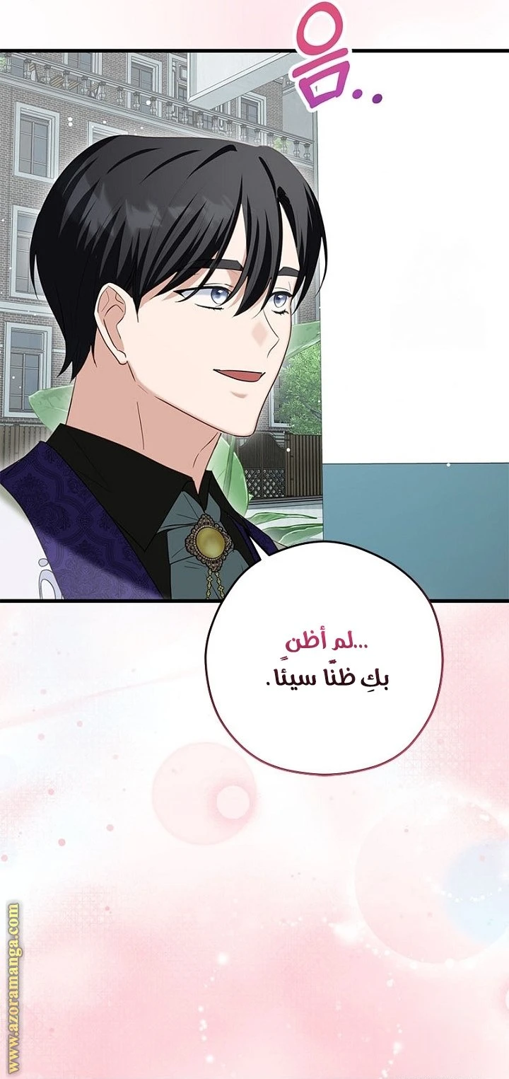 الصفحة 43