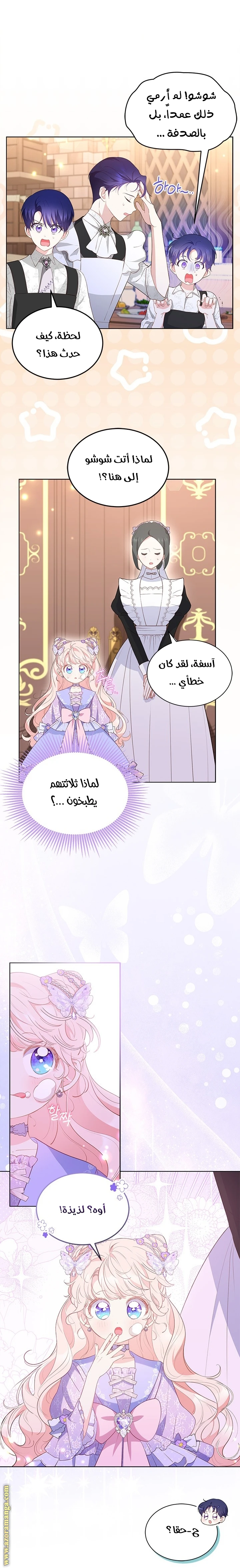 الصفحة 12