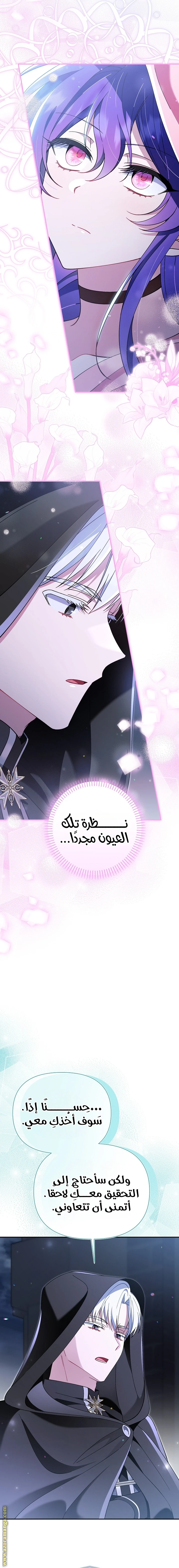 الصفحة 11