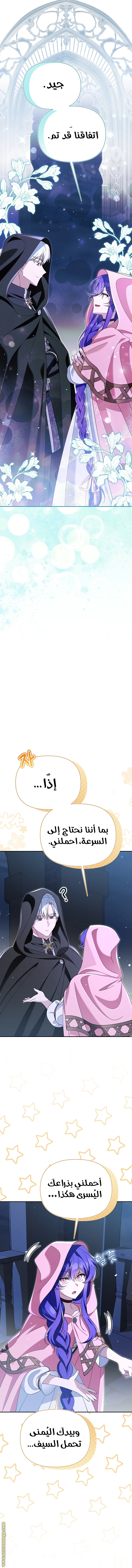 الصفحة 12