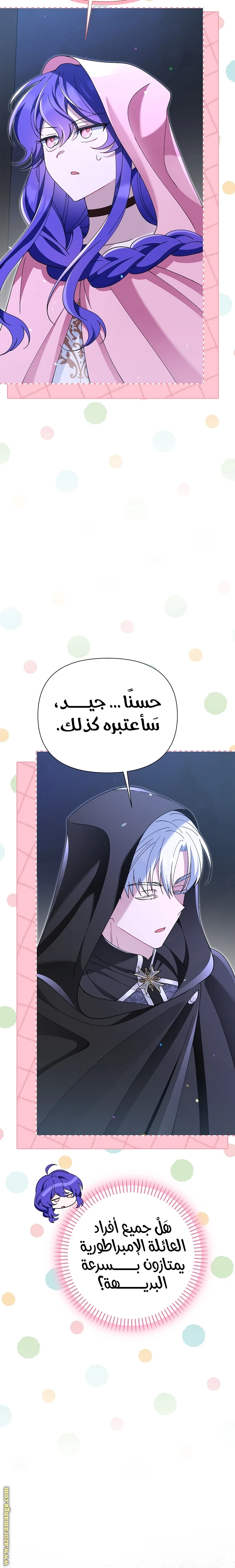 الصفحة 17