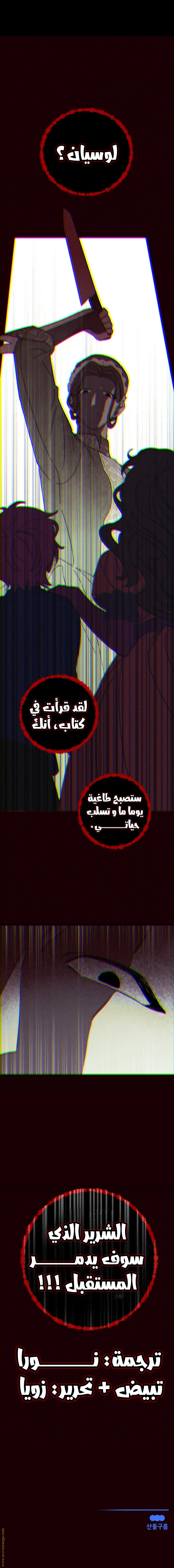 الصفحة 17