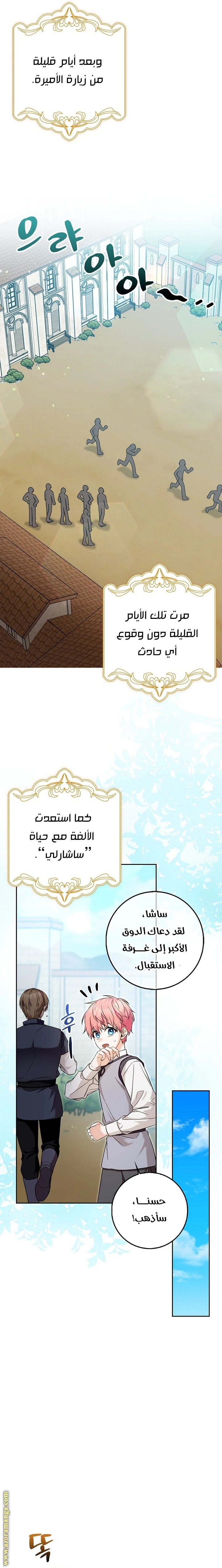 الصفحة 17