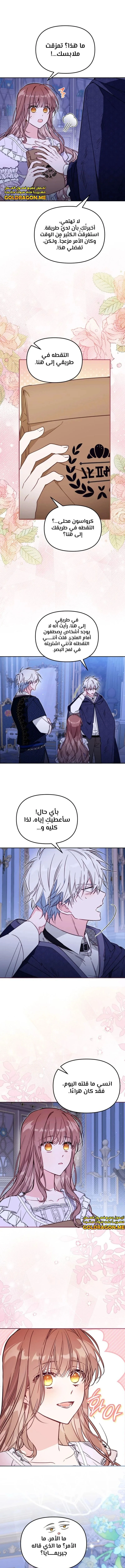 الصفحة 12