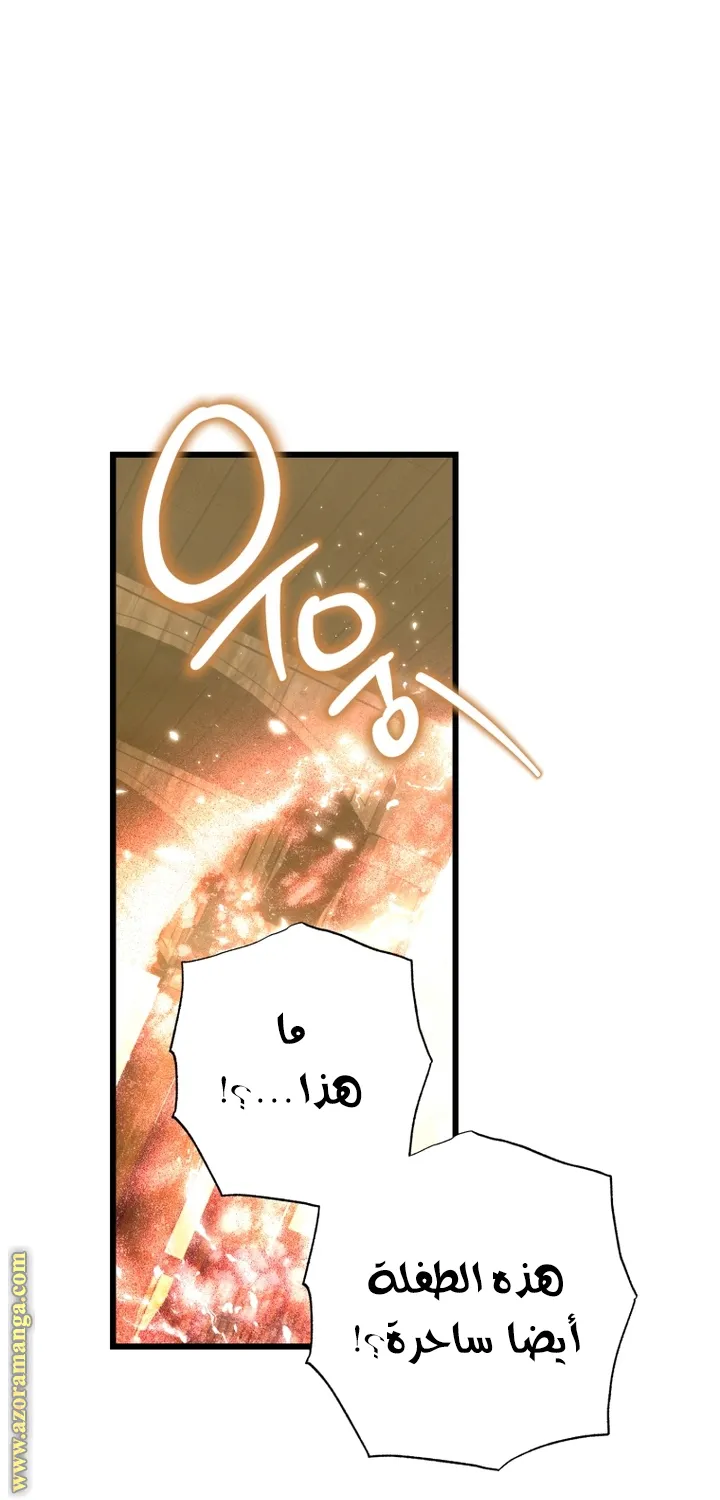 الصفحة 29