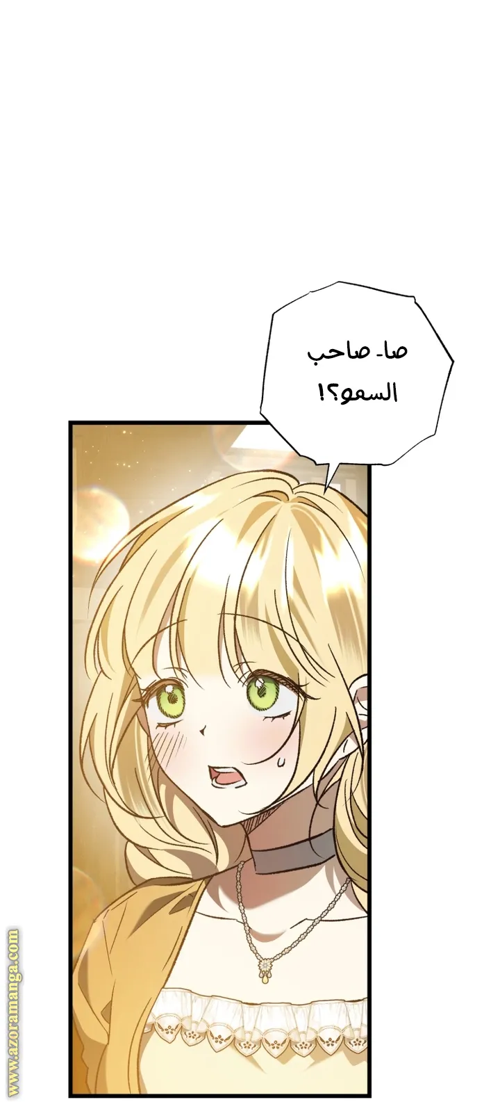 الصفحة 42