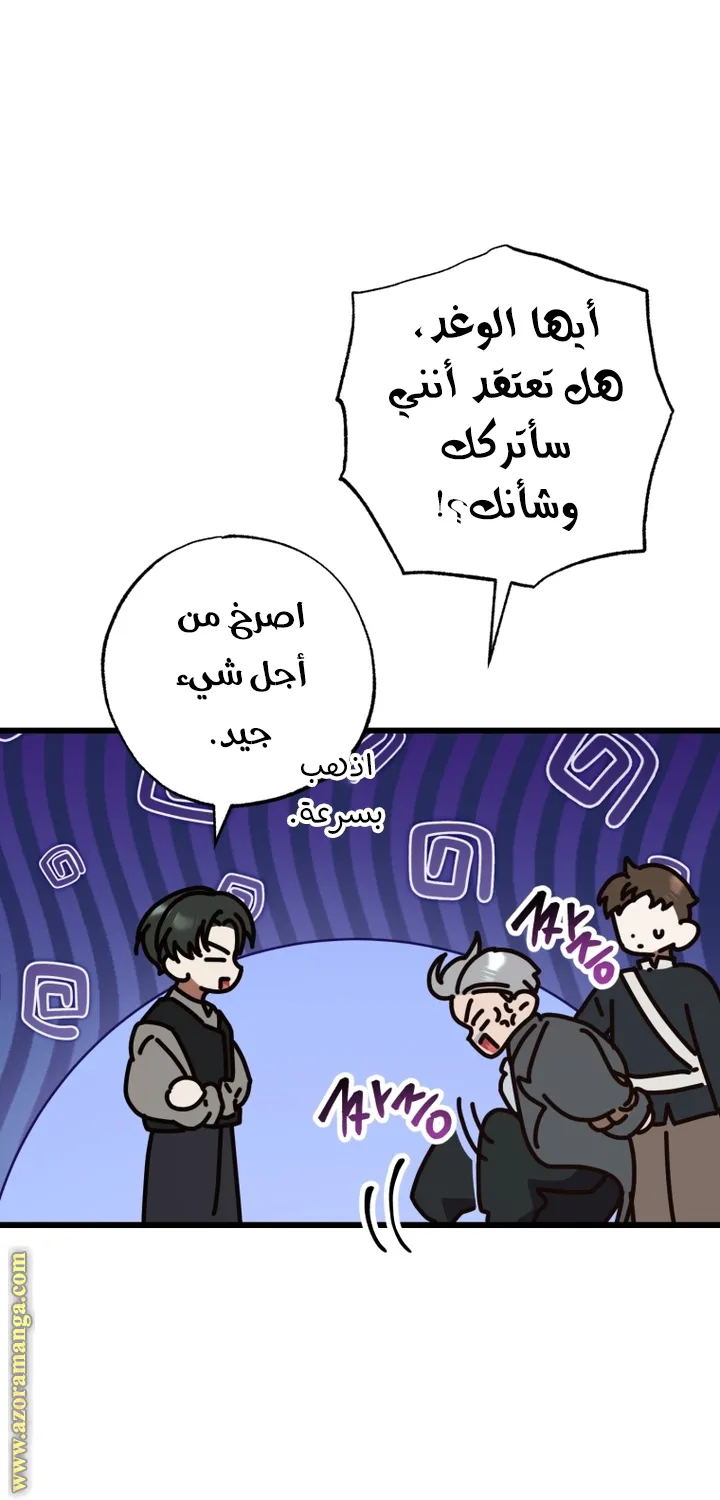 الصفحة 47