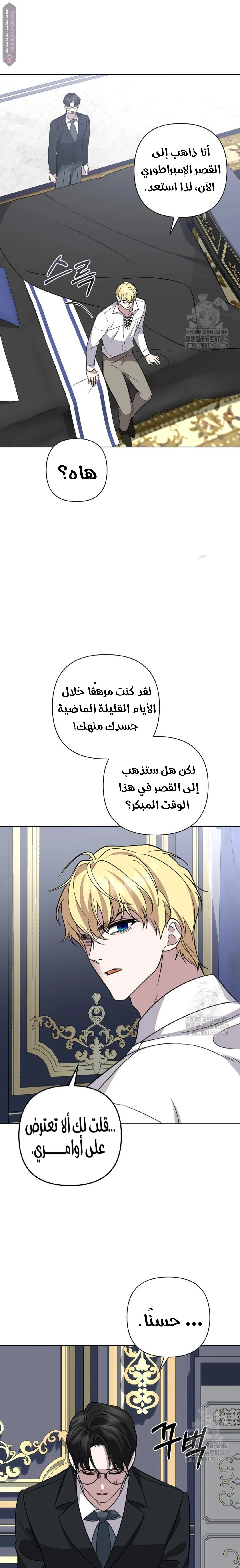 الصفحة 13