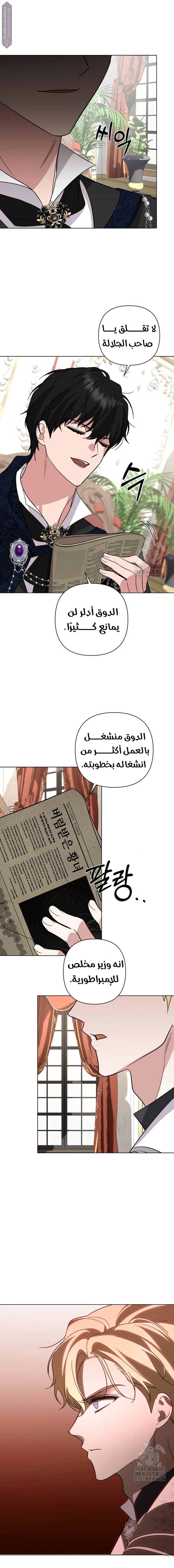 الصفحة 19