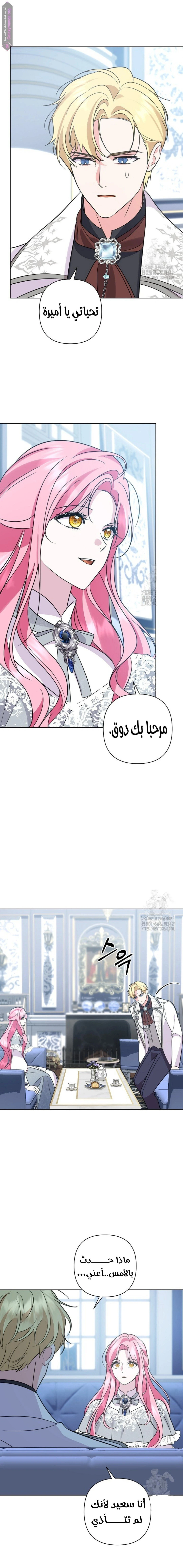 الصفحة 24
