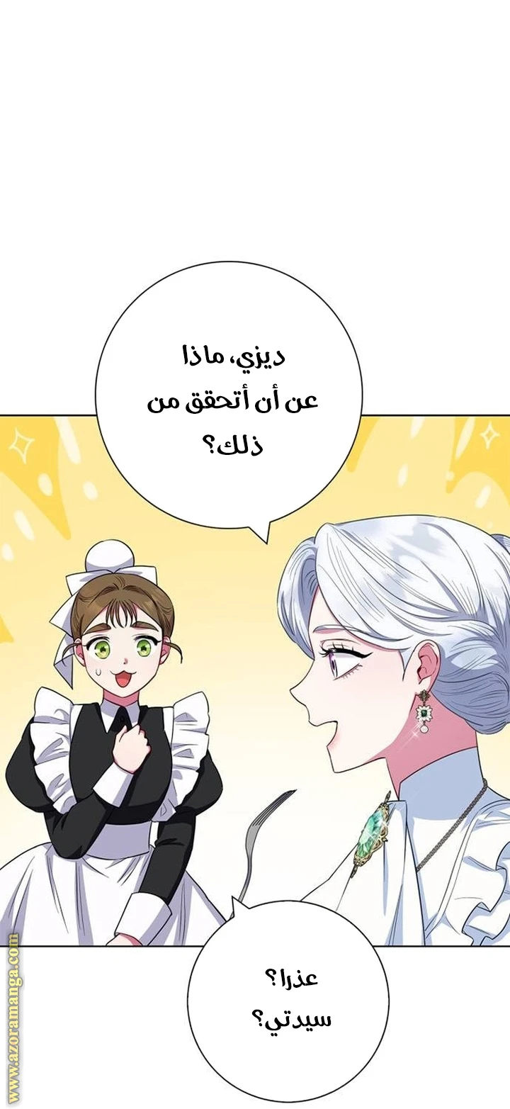 الصفحة 41