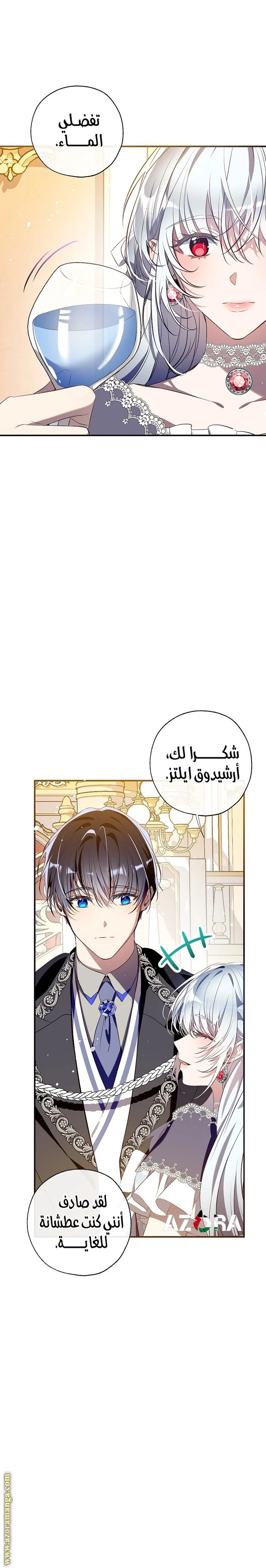 الصفحة 17
