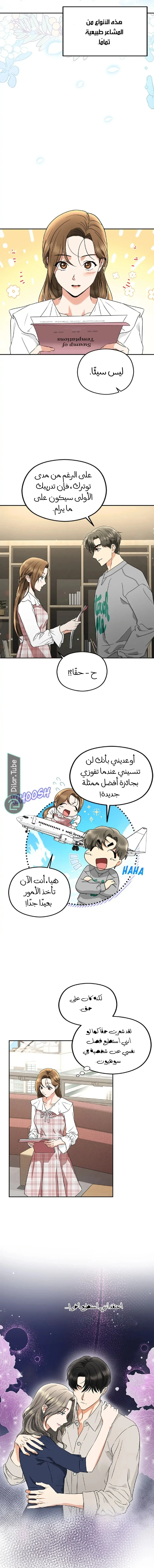 الصفحة 6