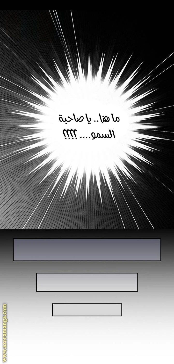 الصفحة 29
