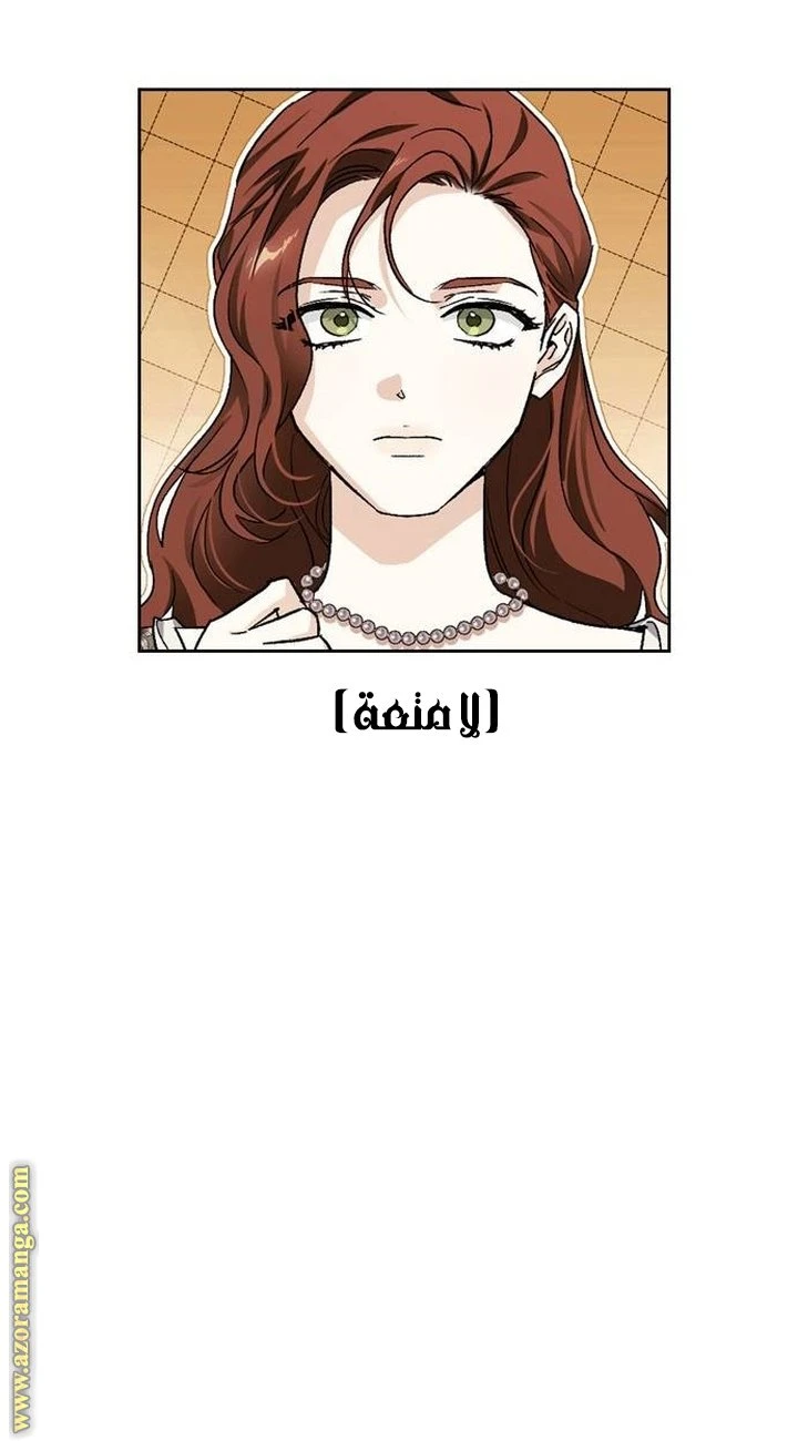 الصفحة 52