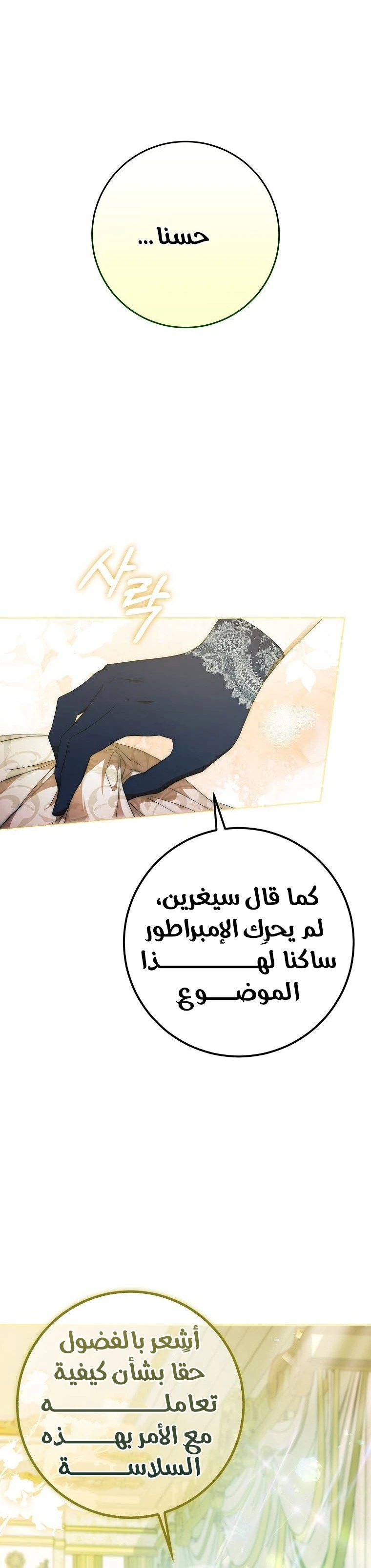 الصفحة 24