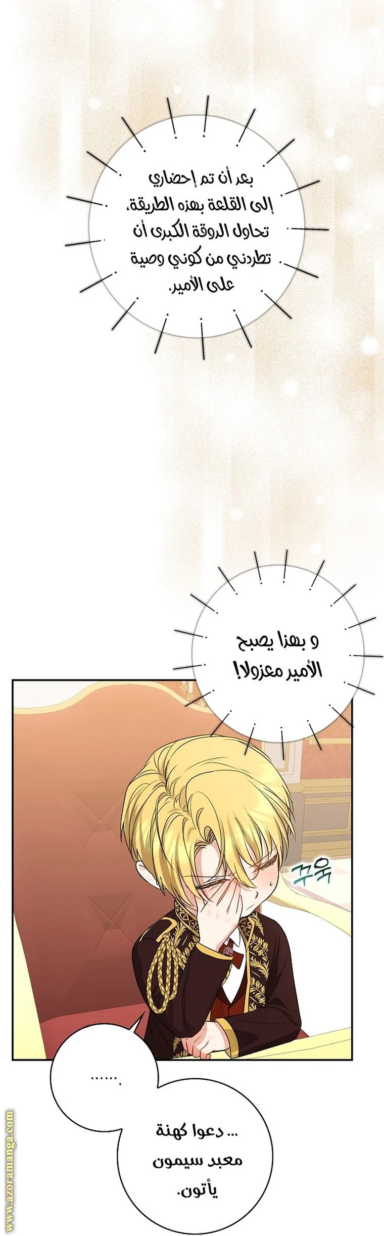 الصفحة 27