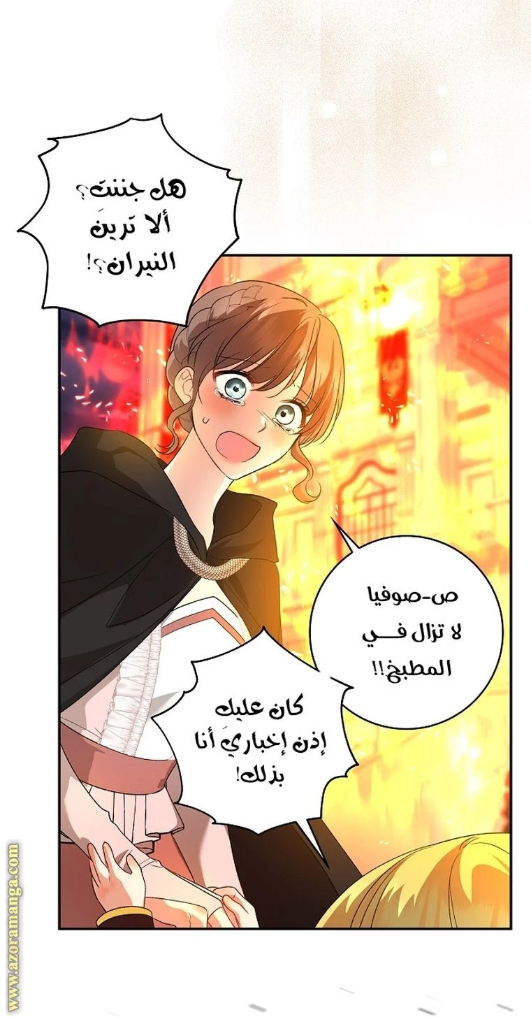 الصفحة 81