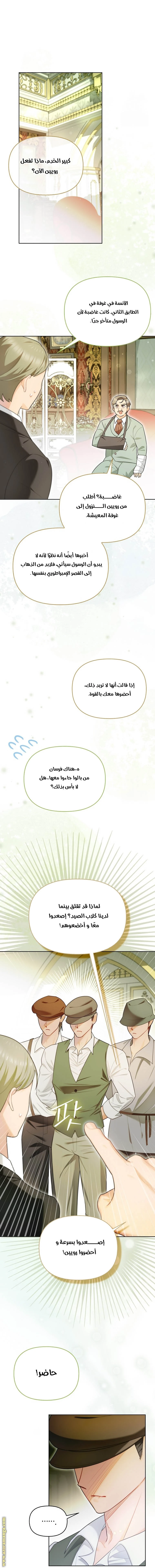 الصفحة 14