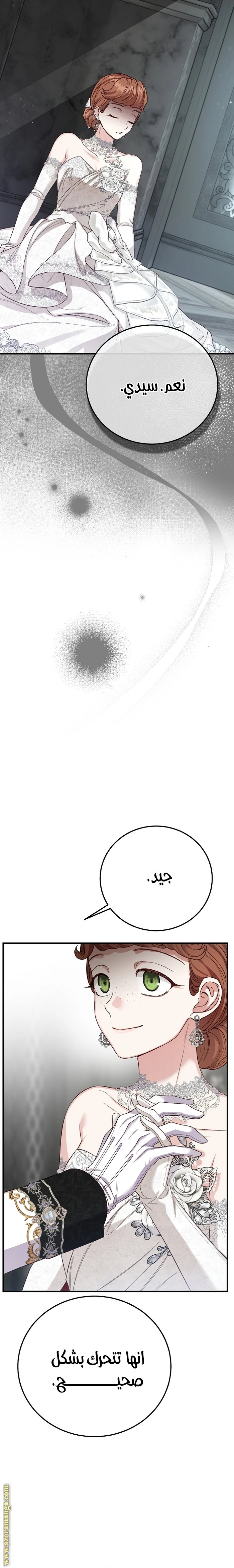 الصفحة 26