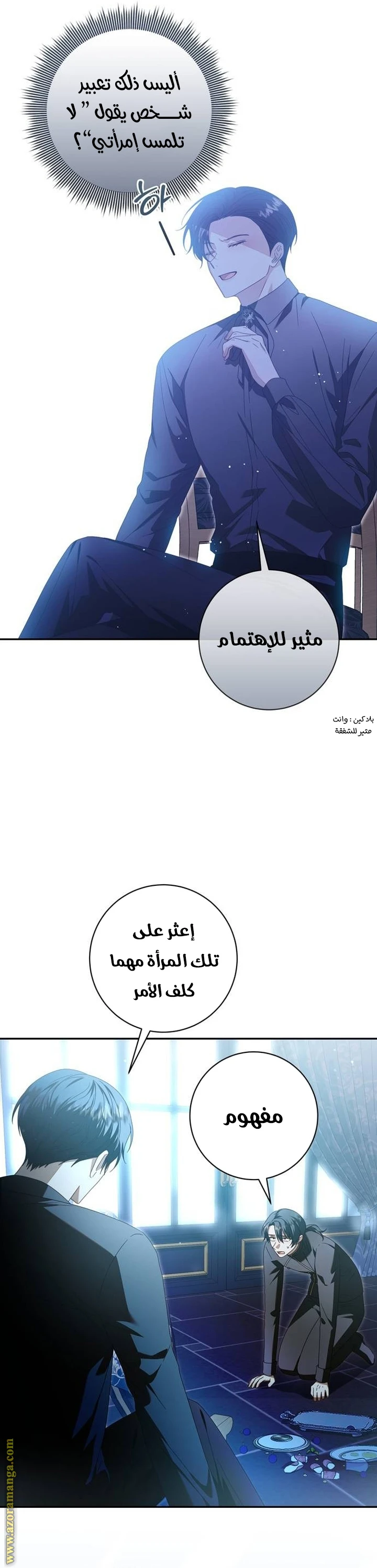 الصفحة 26