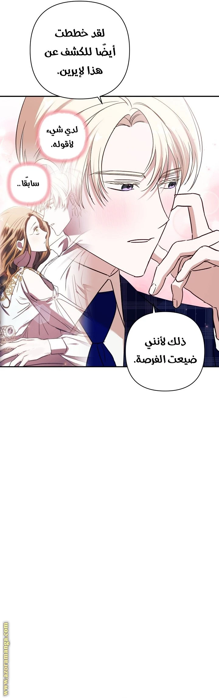 الصفحة 25