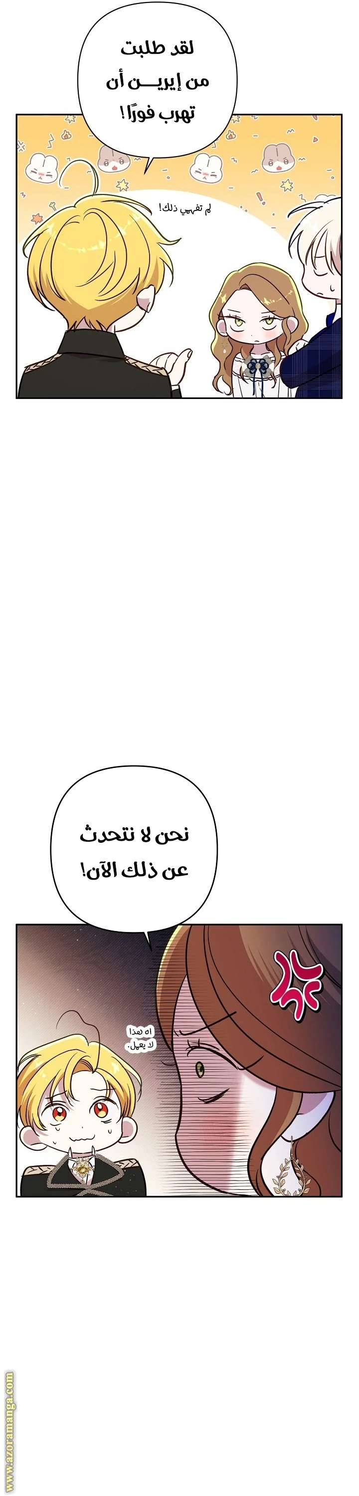 الصفحة 27