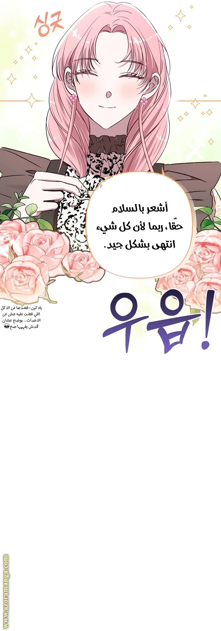 الصفحة 29