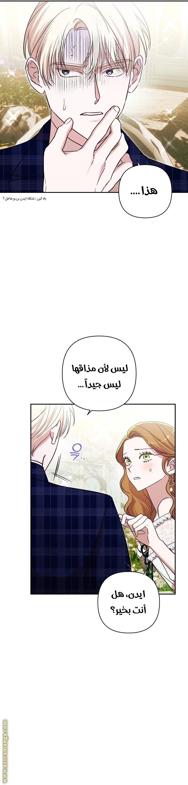 الصفحة 33