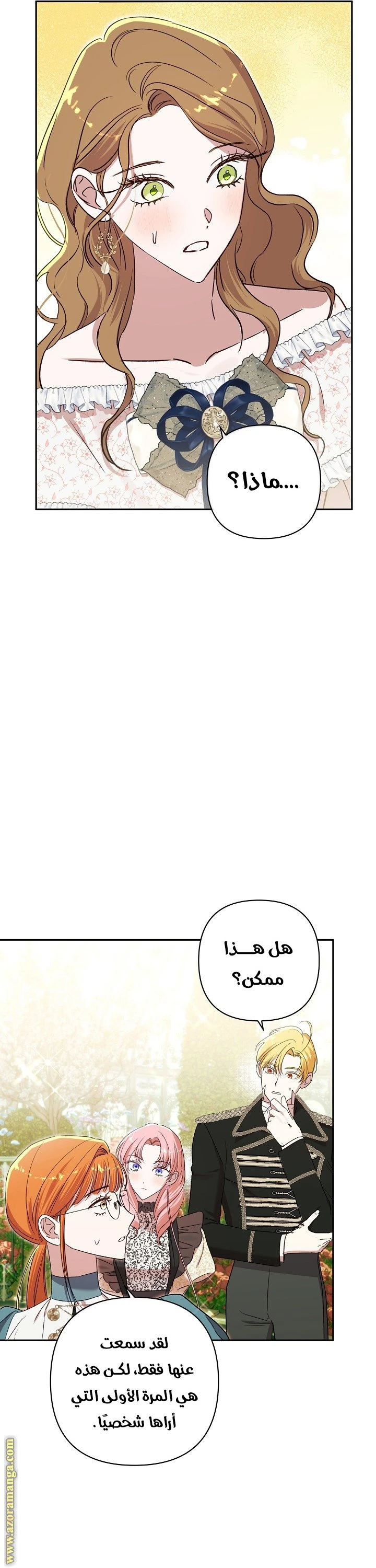 الصفحة 42