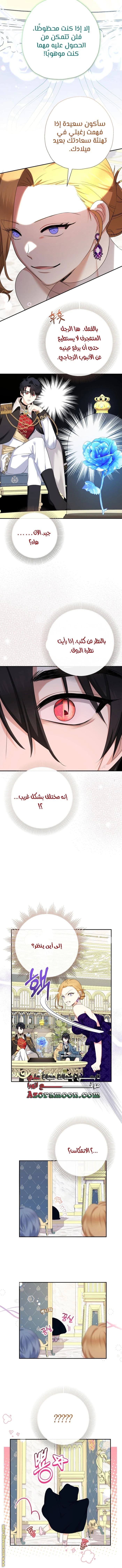 الصفحة 6