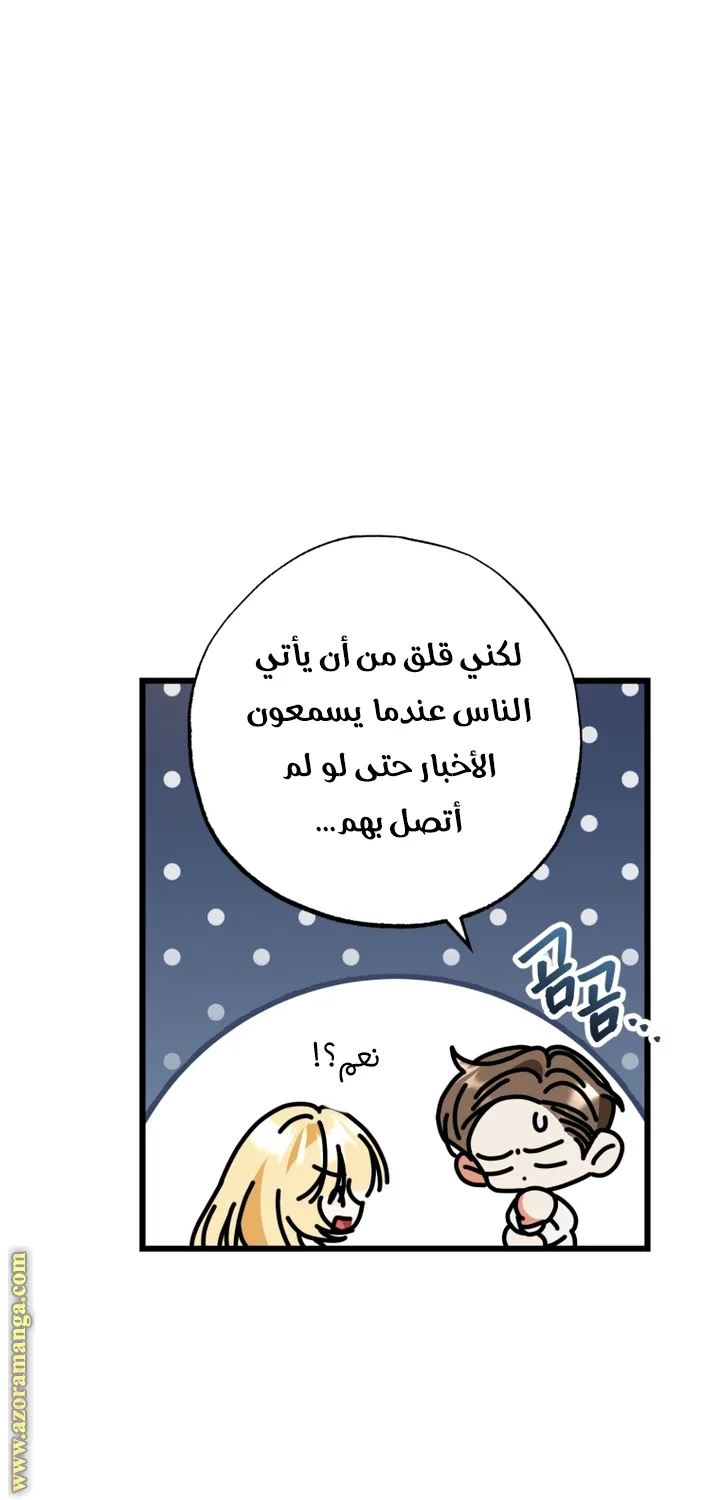 الصفحة 29