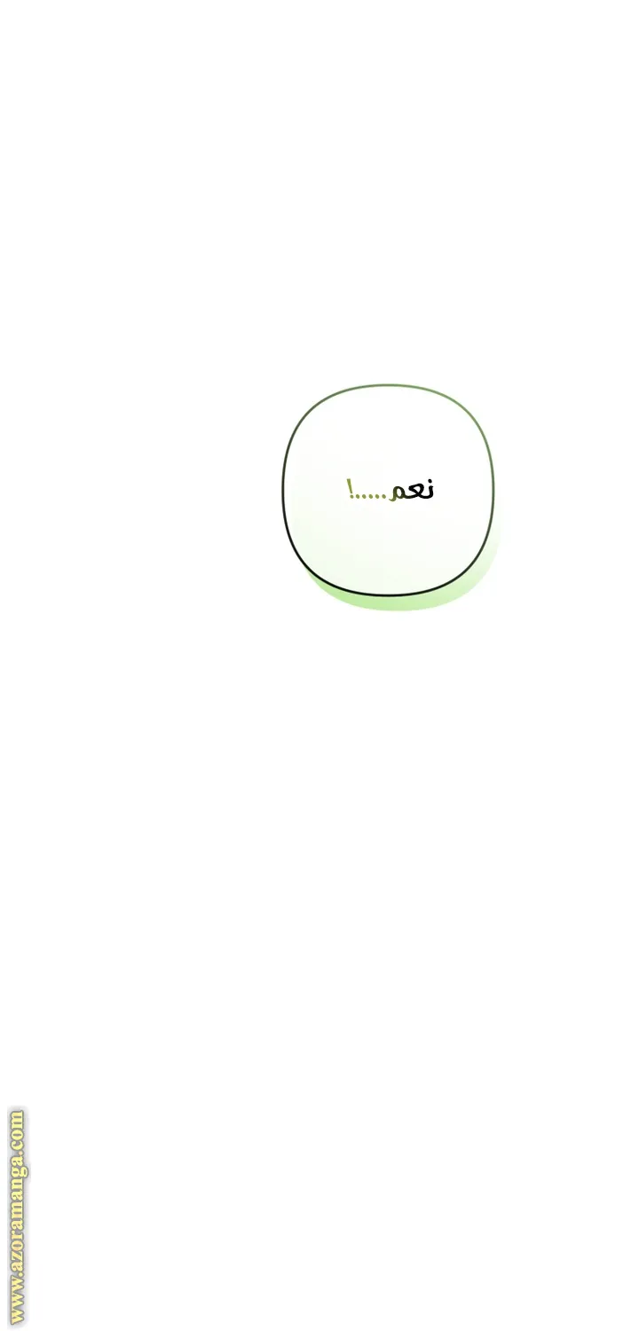 الصفحة 40