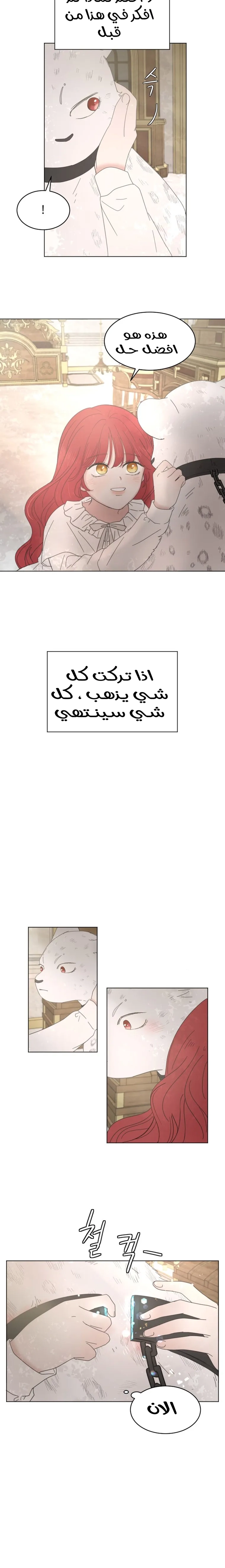 الصفحة 21
