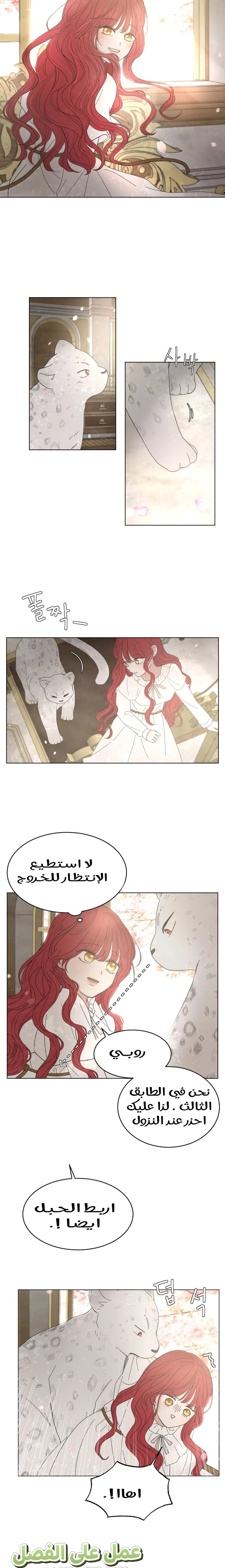 الصفحة 24