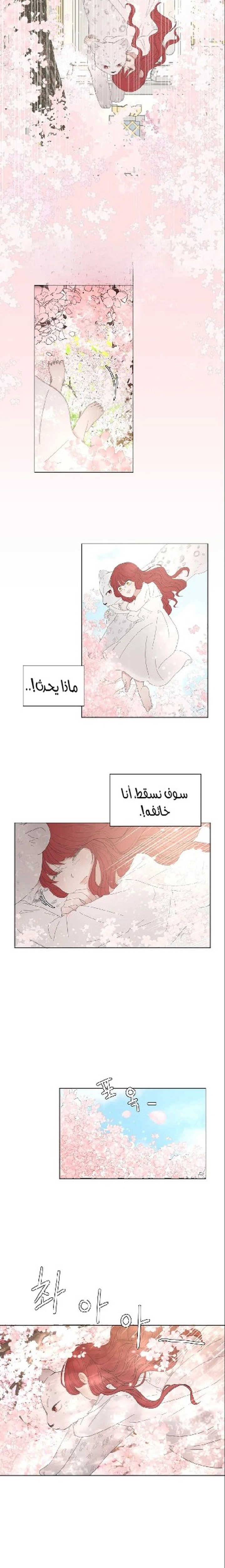 الصفحة 26
