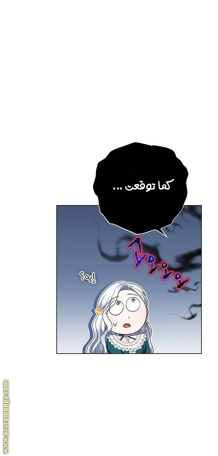 الصفحة 43