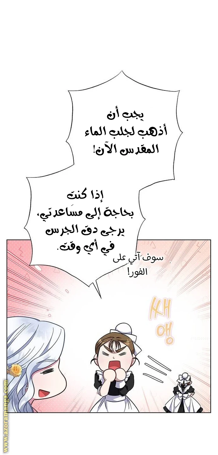 الصفحة 52