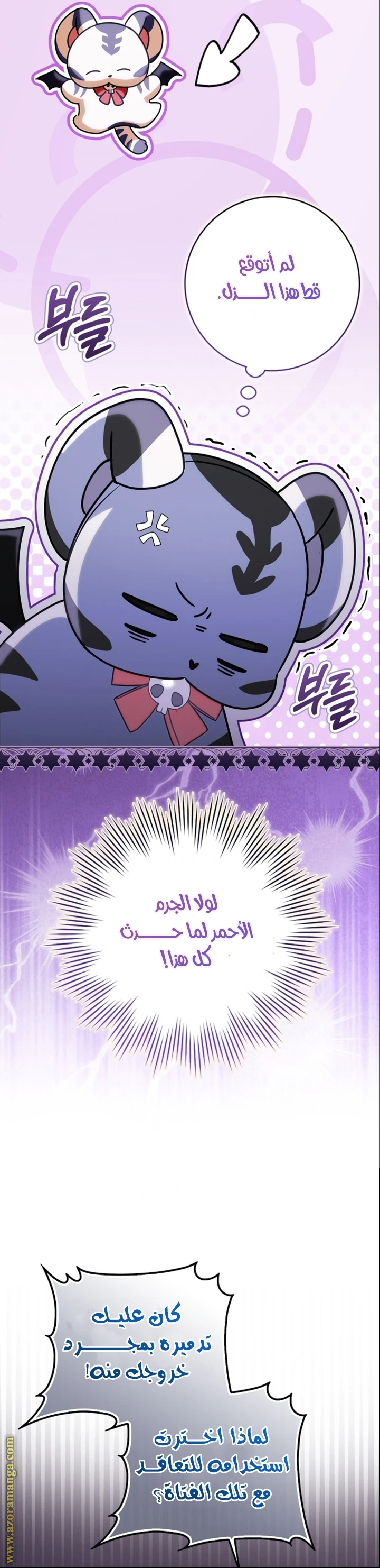 الصفحة 11