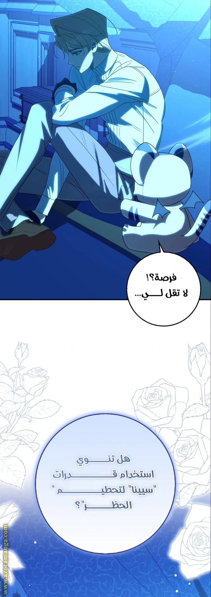 الصفحة 17