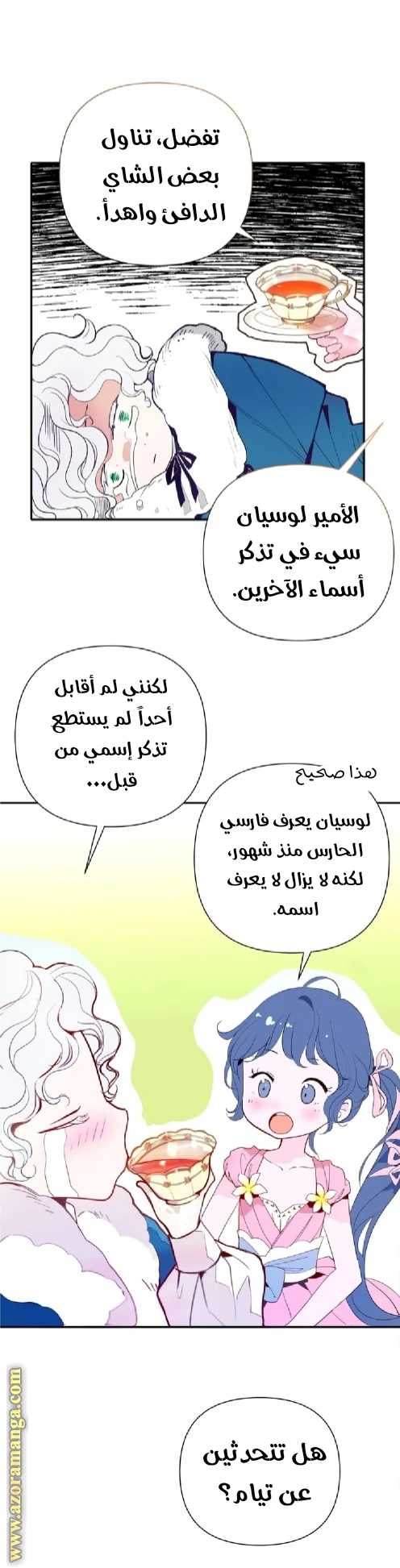 الصفحة 17